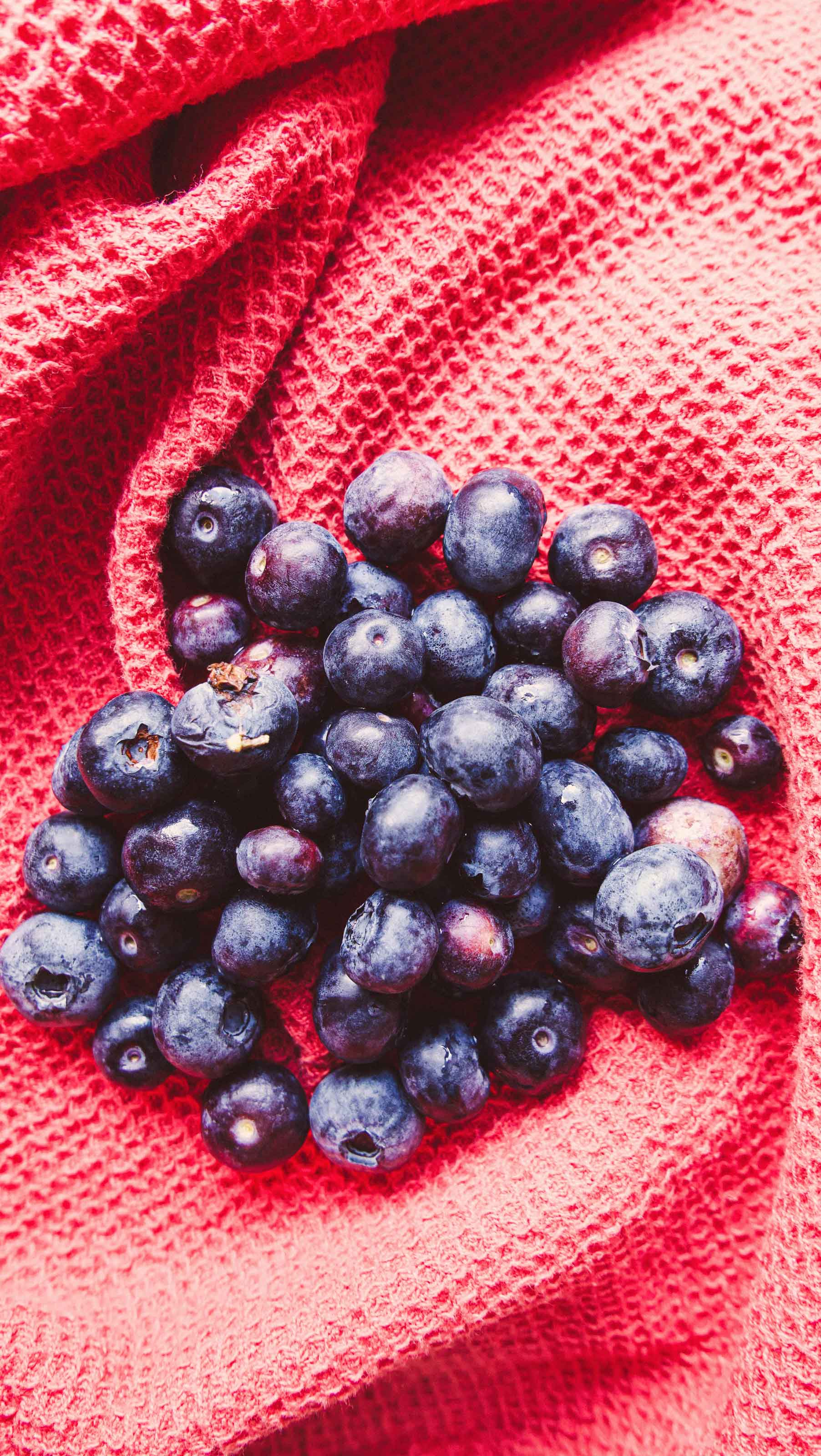 The Brightside - Mixed Berry Frangipane Tart from Nutrition By Jane