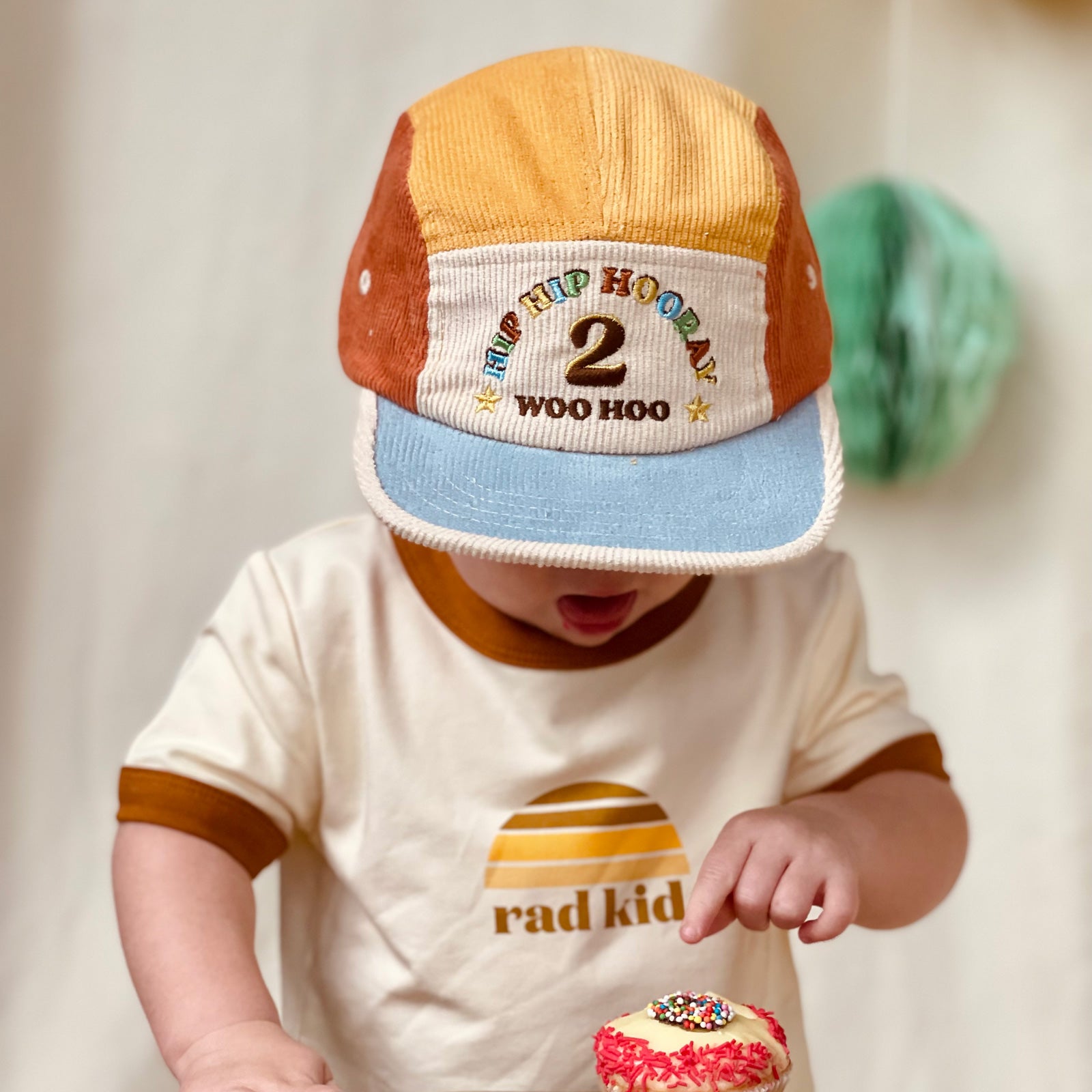 Birthday Bundle in Primary- 2 Year Old