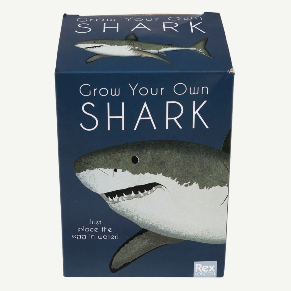 Giant Hatching Shark Egg