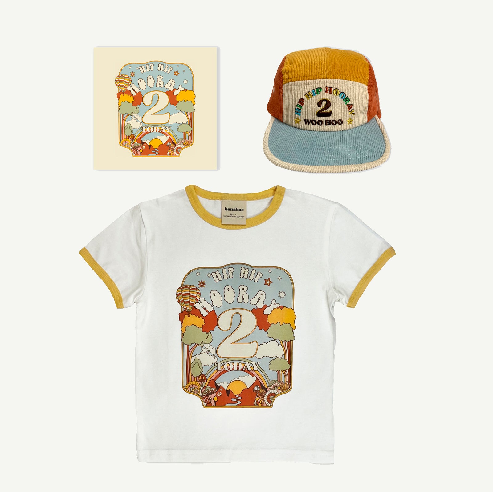 Birthday Bundle in Primary- 2 Year Old