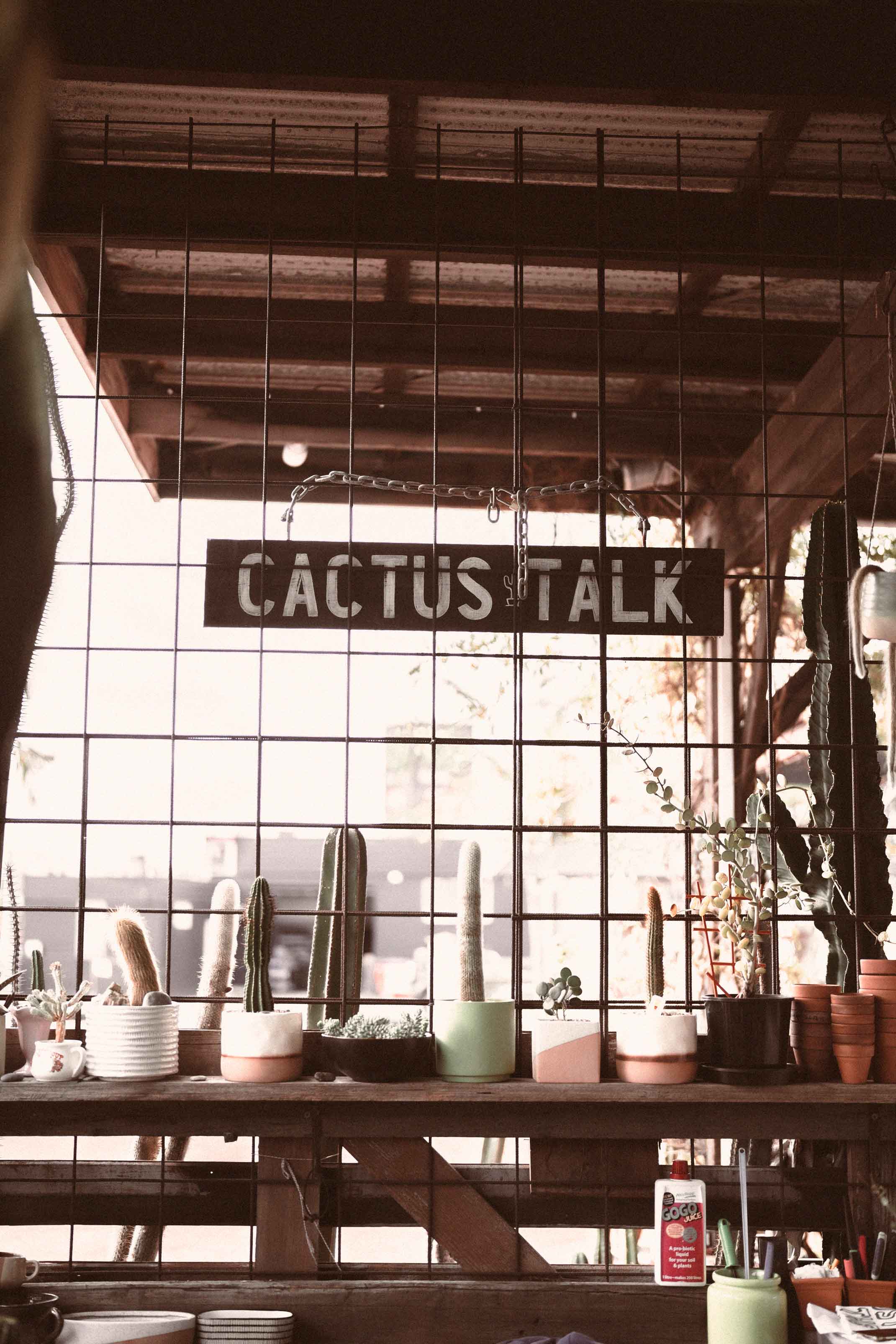 The Brightside: With Cactus Talk