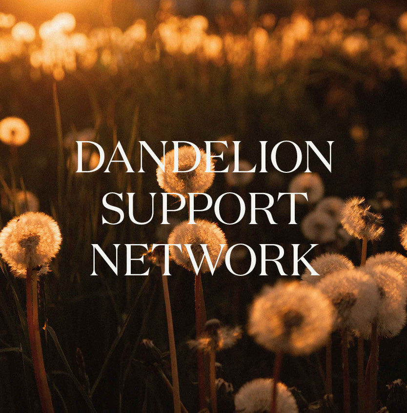 The Brightside: Dandelion Support Network Inc