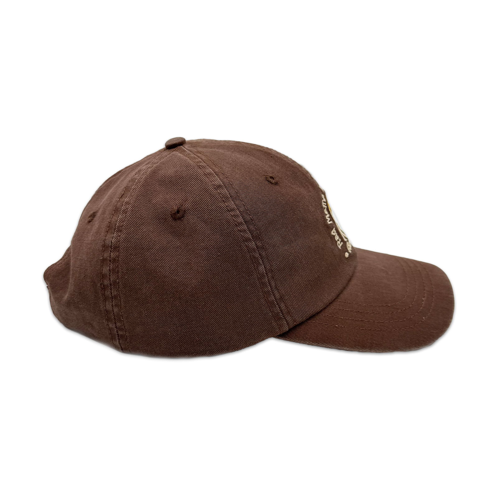 Rad Mama Wellness Club Cap - Coco