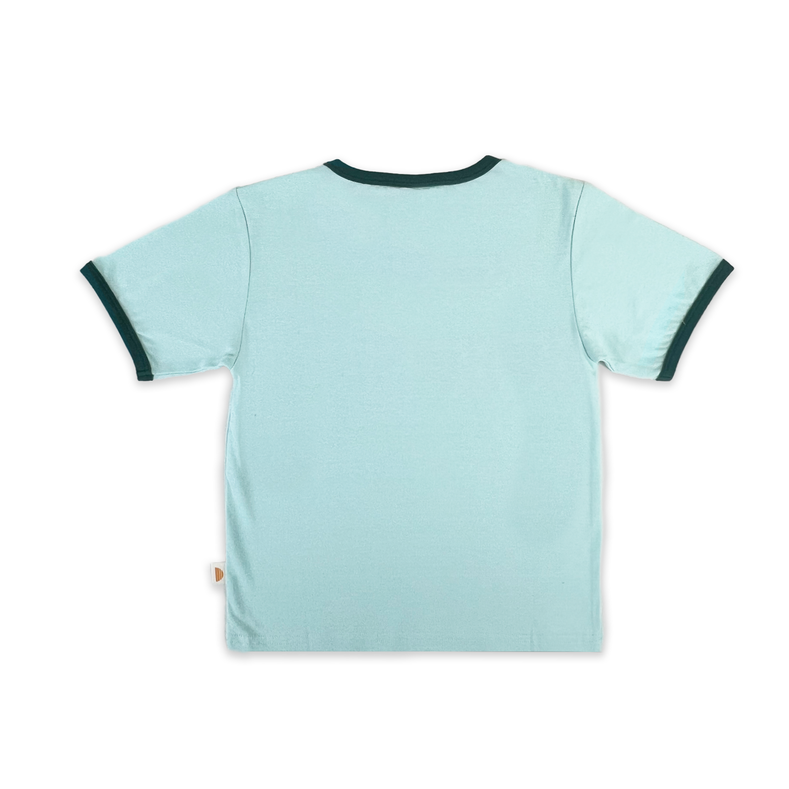 Big Bro Ringer Tee - Mint and Teal