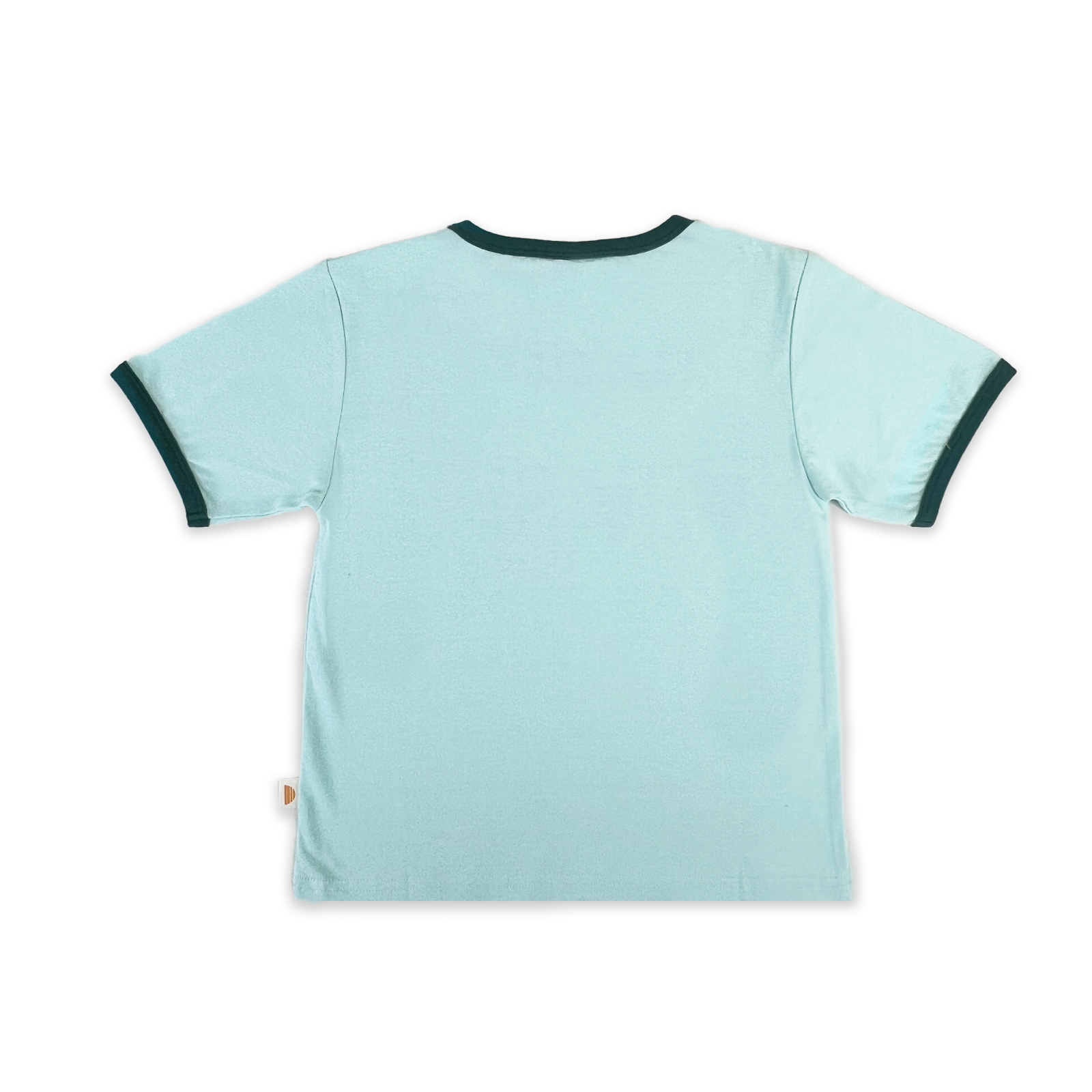 Cuz Crew Ringer Tee - Mint and Teal