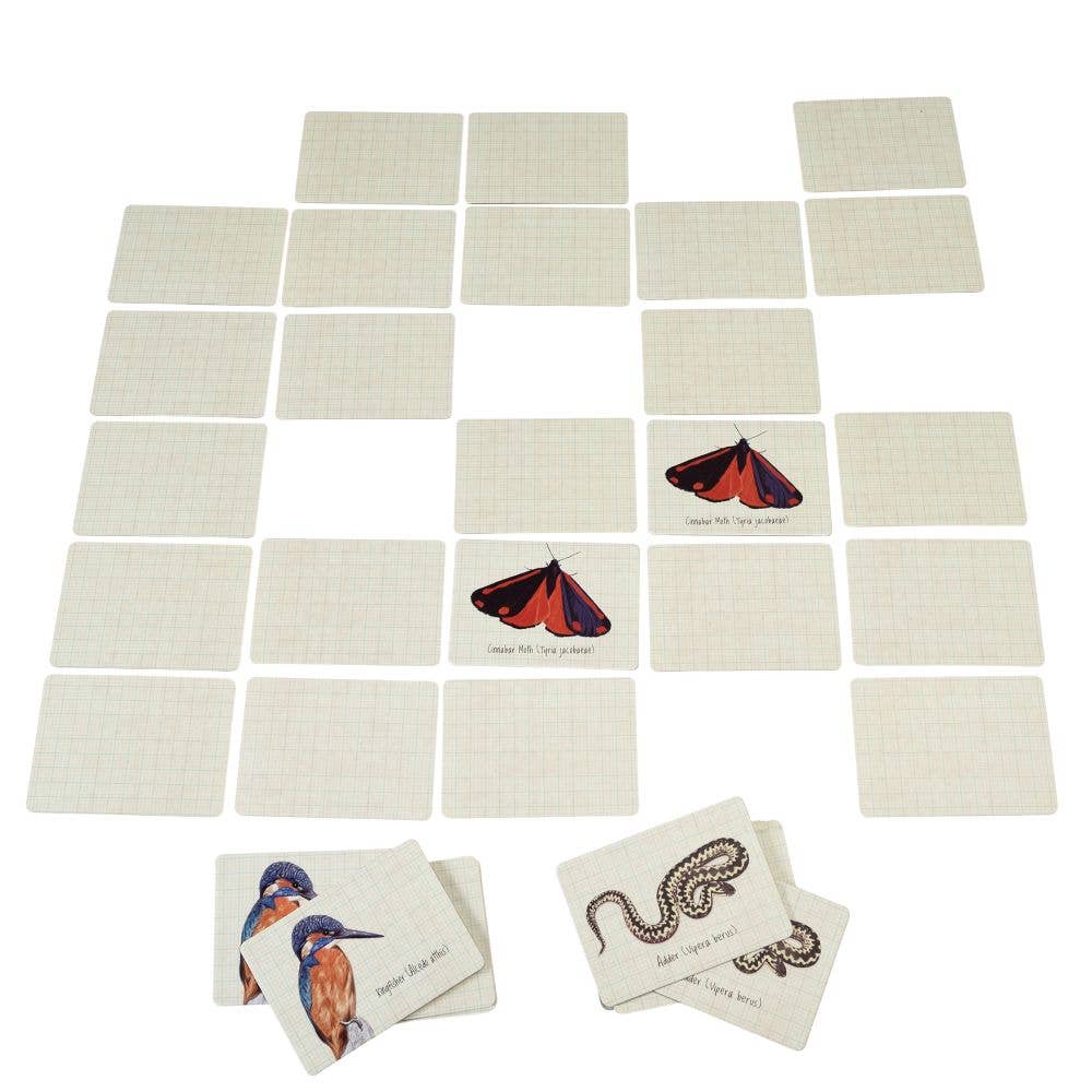 Rex London Memory Game - Nature Trail