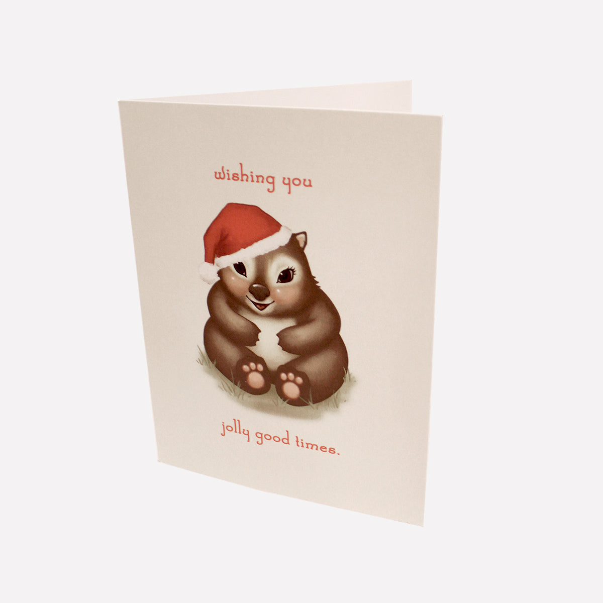 Aussie Christmas Greeting Cards 5 pack